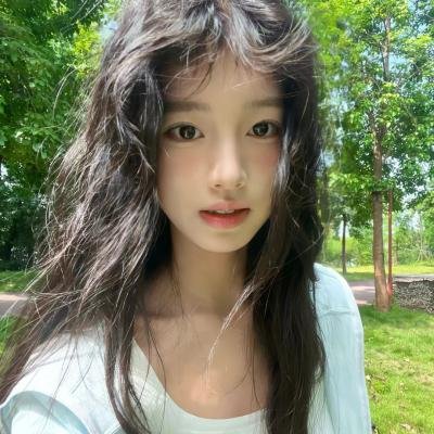 神犬小七第二季